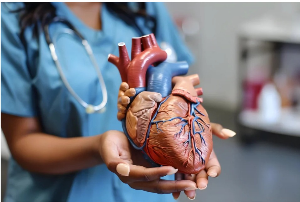 Best Cardiology Hospital in Jayanagar