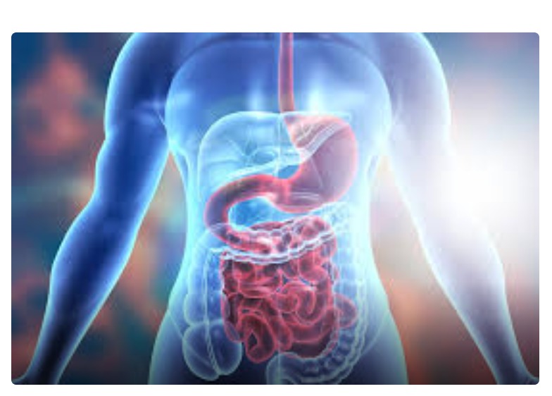 Best Gastrointestinal Surgeons In Chamarajpet