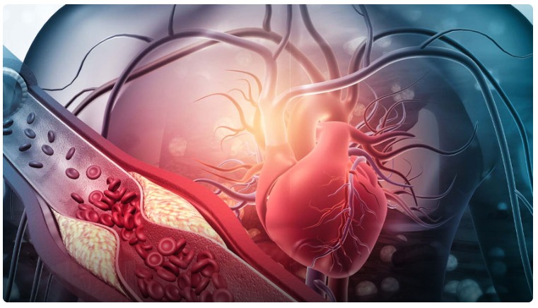 Vascular Surgeons in Jayanagar