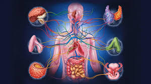 Best Endocrinology & Diabetology Doctors in Chamrajpet