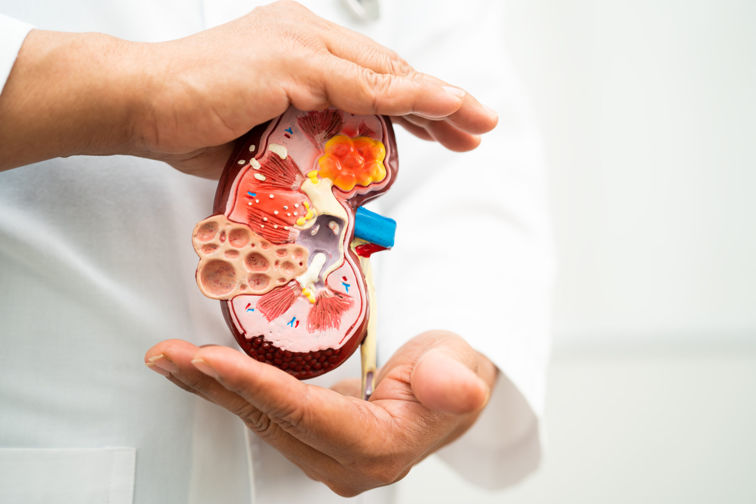 Best Nephrologists Near Me in Chamarajpet, Bangalore