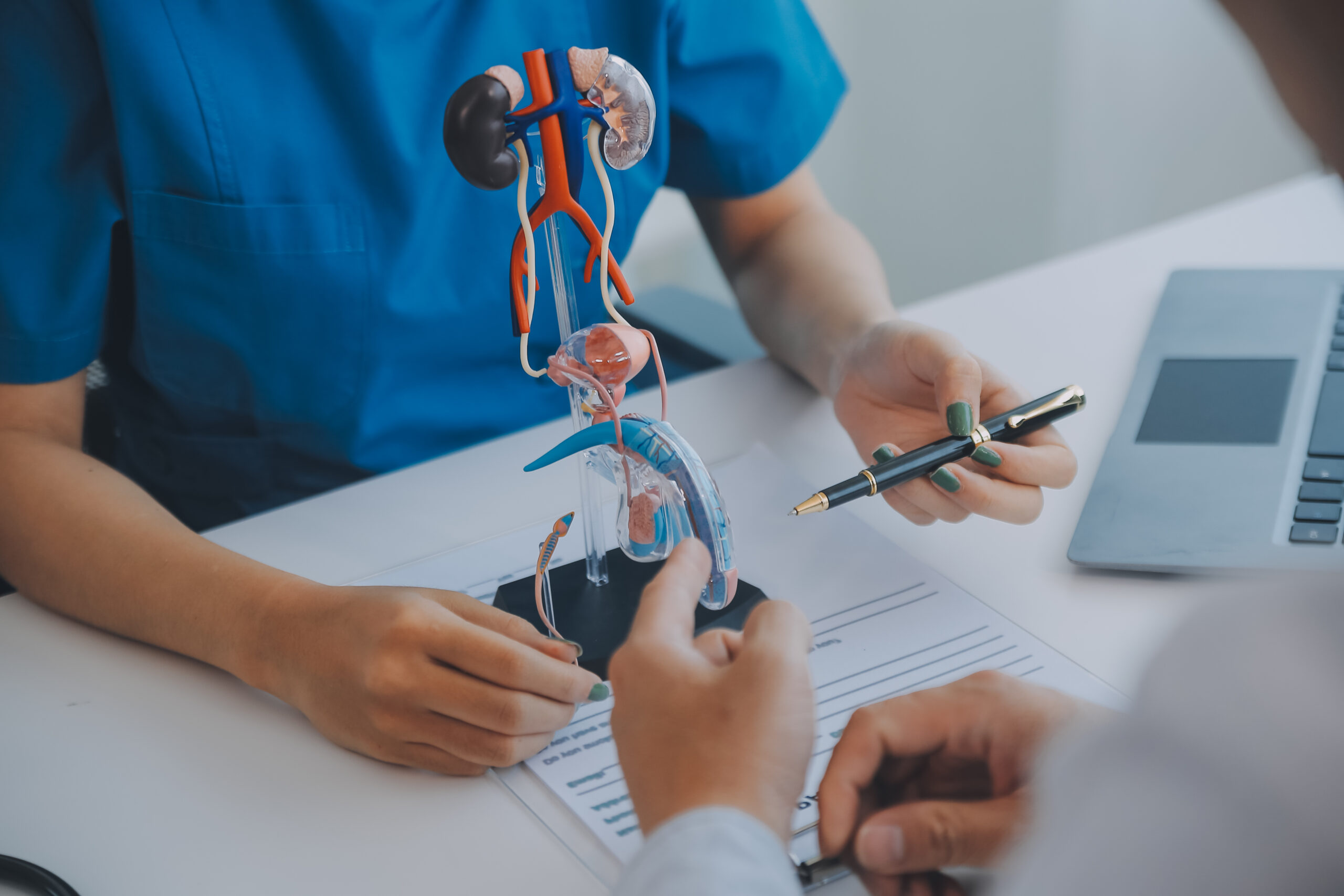 Streamlining Renal and Urinary Care: Finding the Best Urology Hospital in Bangalore