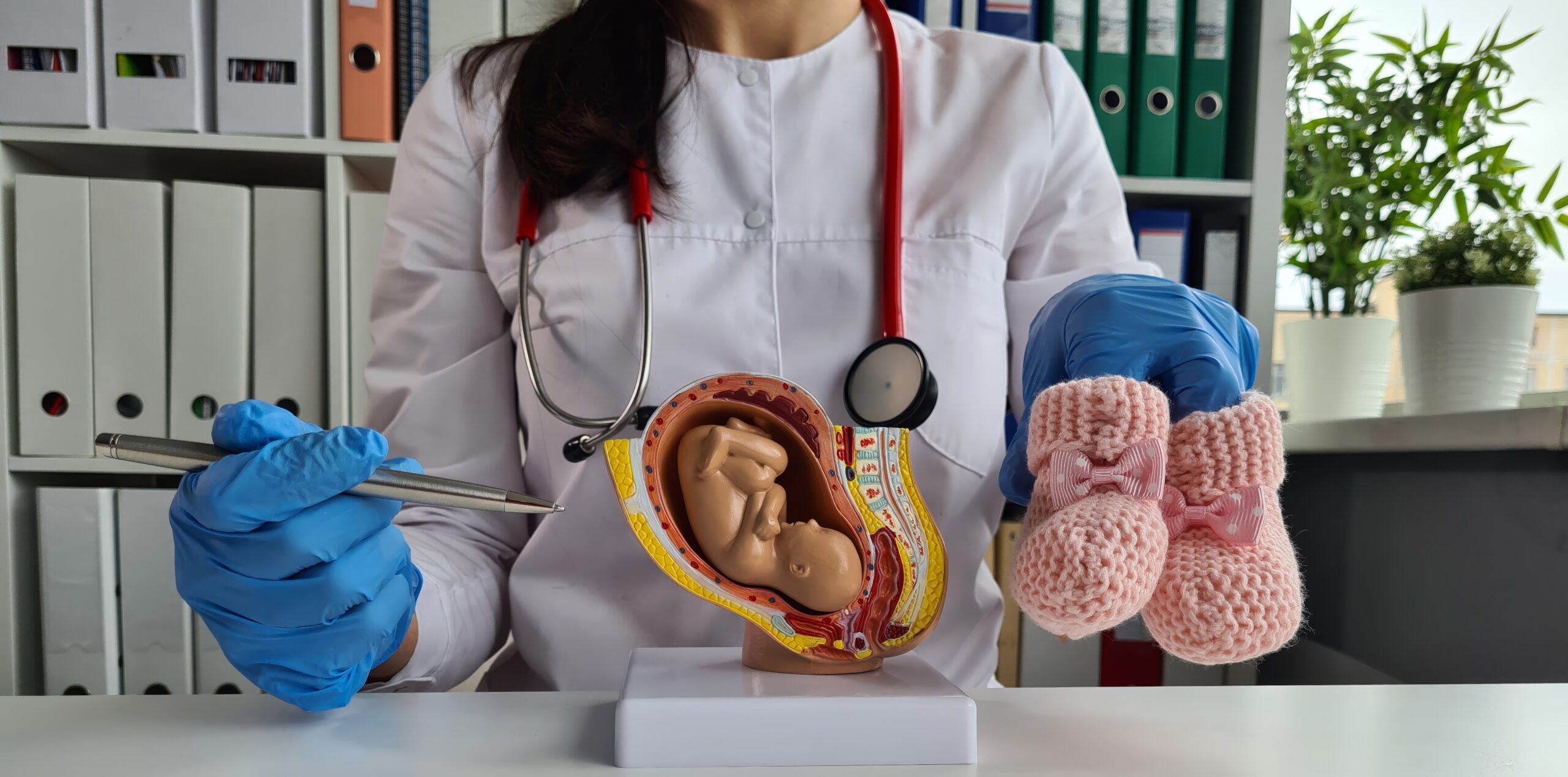 best gynaecologist in Jayanagar