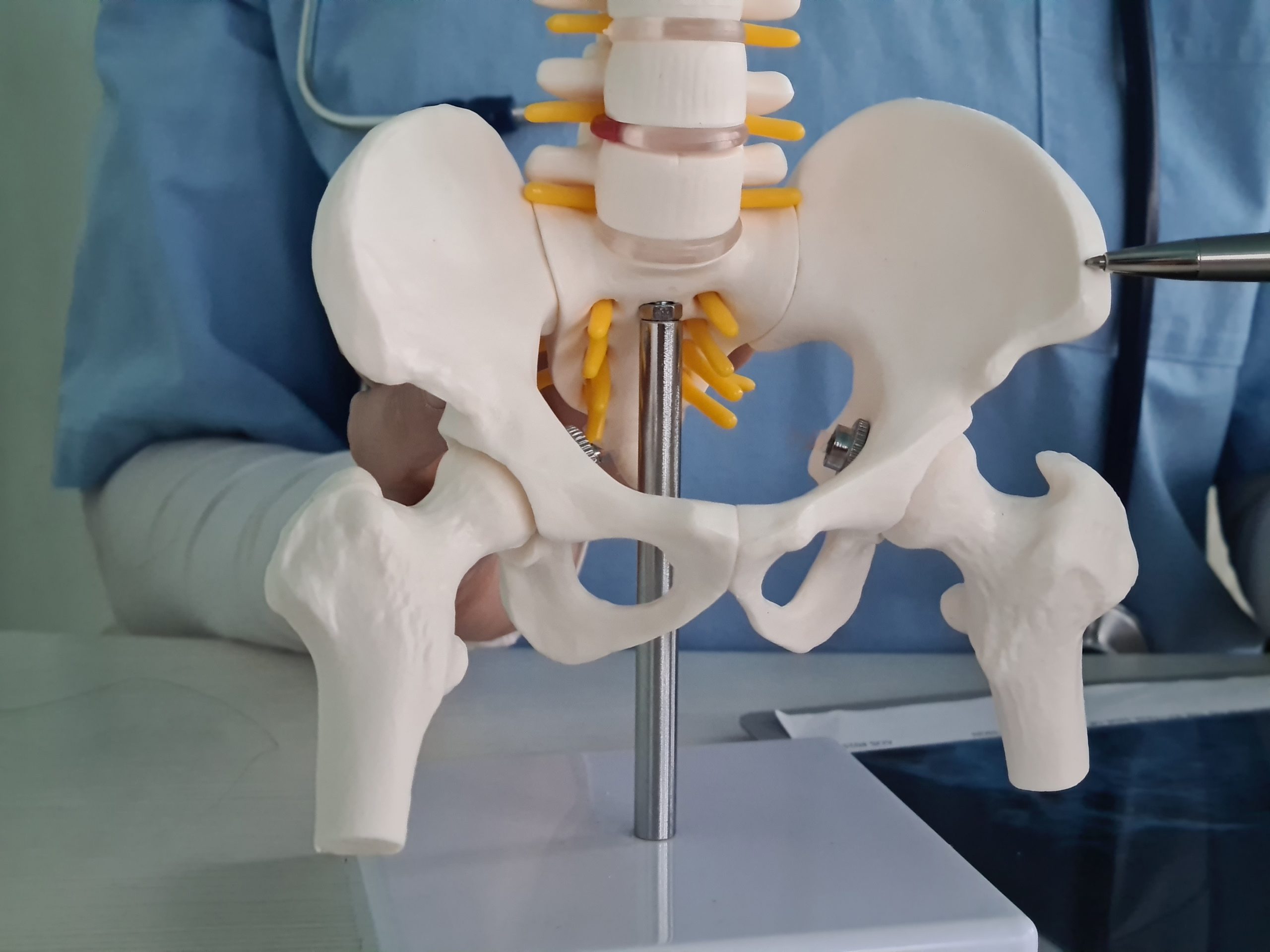 Hip Replacement Surgery Near Me